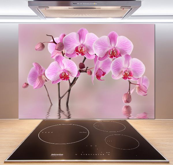 Panel do kuchyně Růžová orchidej