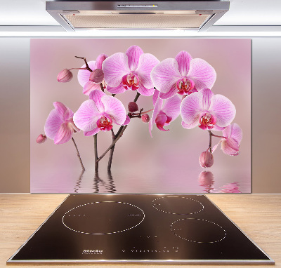 Panel do kuchyně Růžová orchidej