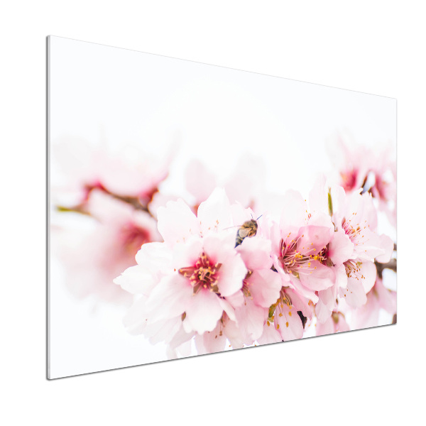 Dekorační panel sklo Květy višně