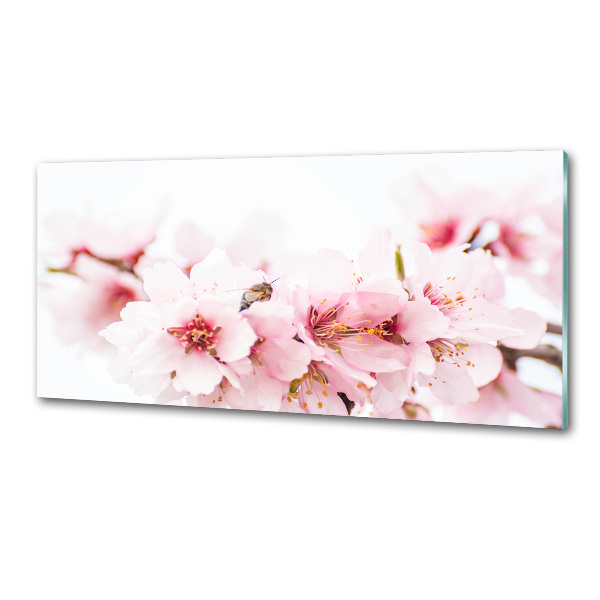 Dekorační panel sklo Květy višně