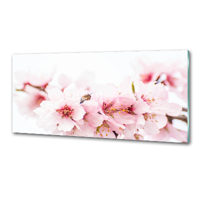 Dekorační panel sklo Květy višně