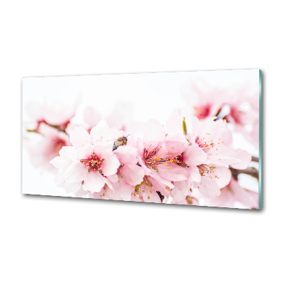 Dekorační panel sklo Květy višně