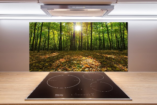 Panel tvrzené sklo do kuchyně Les