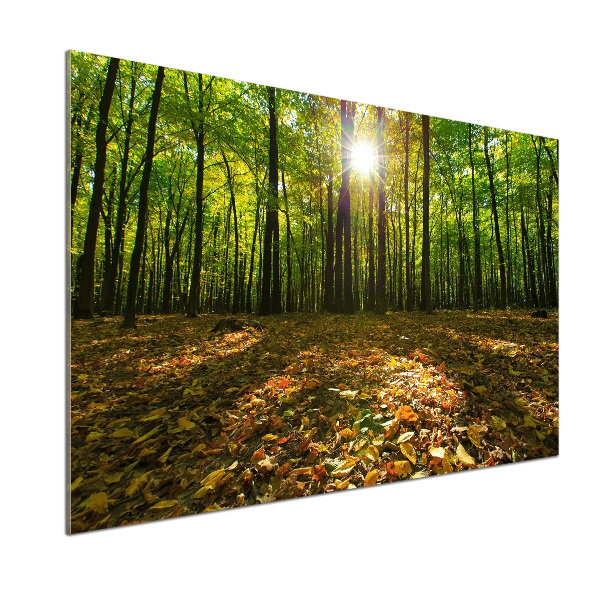 Panel tvrzené sklo do kuchyně Les