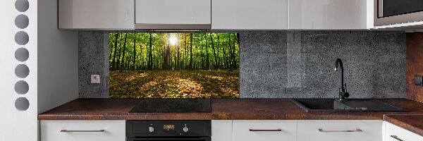 Panel tvrzené sklo do kuchyně Les