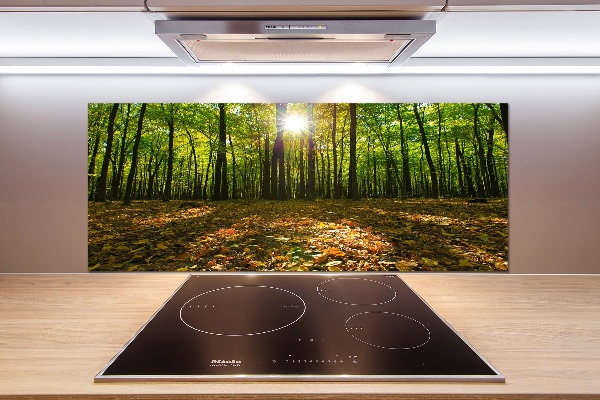 Panel tvrzené sklo do kuchyně Les