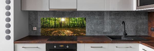 Panel tvrzené sklo do kuchyně Les