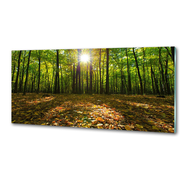 Panel tvrzené sklo do kuchyně Les