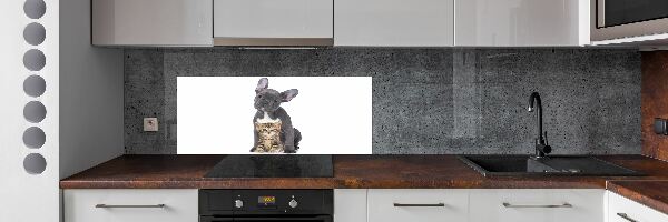 Dekorační panel sklo Pes a kočka