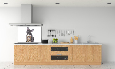Dekorační panel sklo Pes a kočka
