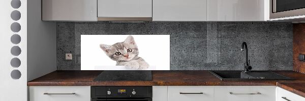 Skleněný panel do kuchynské linky Šedá kočka
