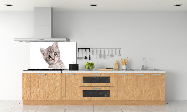 Skleněný panel do kuchynské linky Šedá kočka