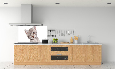 Skleněný panel do kuchynské linky Šedá kočka