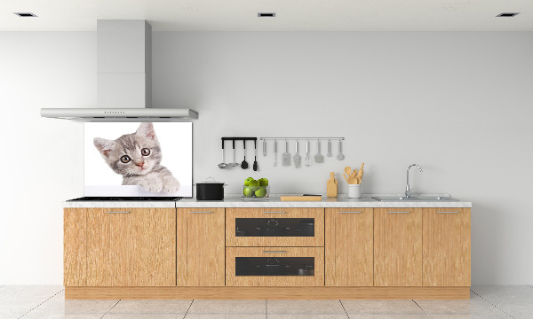 Skleněný panel do kuchynské linky Šedá kočka