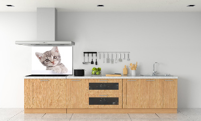 Skleněný panel do kuchynské linky Šedá kočka