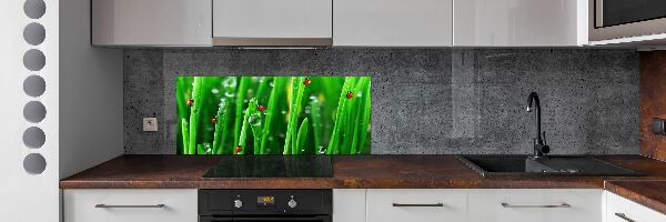 Panel lacobel Berušky na trávě