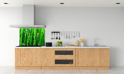 Panel lacobel Berušky na trávě