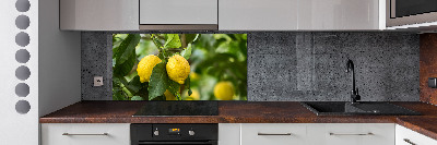 Panel do kuchyně Citrony na stromě