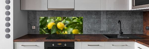 Panel do kuchyně Citrony na stromě
