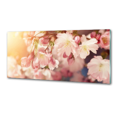 Dekorační panel sklo Květy višně