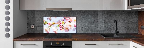 Dekorační panel sklo Květy višně
