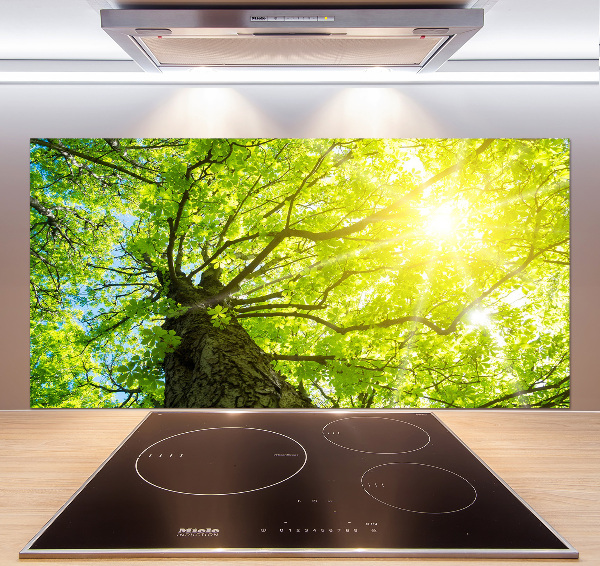Panel do kuchyně Kaštan jaro