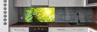 Panel do kuchyně Kaštan jaro