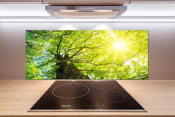 Panel do kuchyně Kaštan jaro
