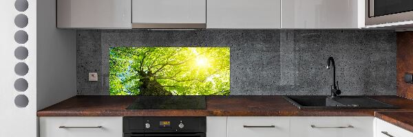 Panel do kuchyně Kaštan jaro