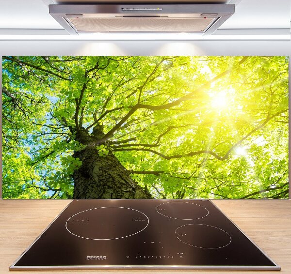Panel do kuchyně Kaštan jaro