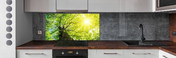 Panel do kuchyně Kaštan jaro