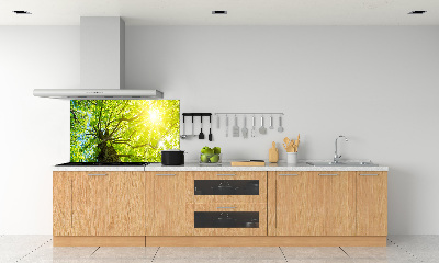 Panel do kuchyně Kaštan jaro