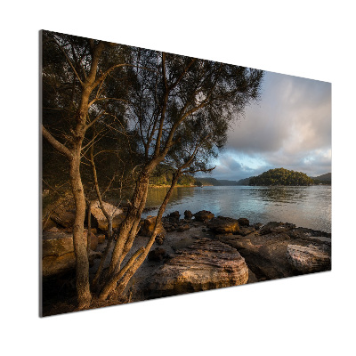 Panel do kuchyně Strom nad řekou