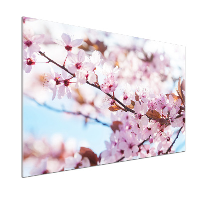 Dekorační panel sklo Květy višně