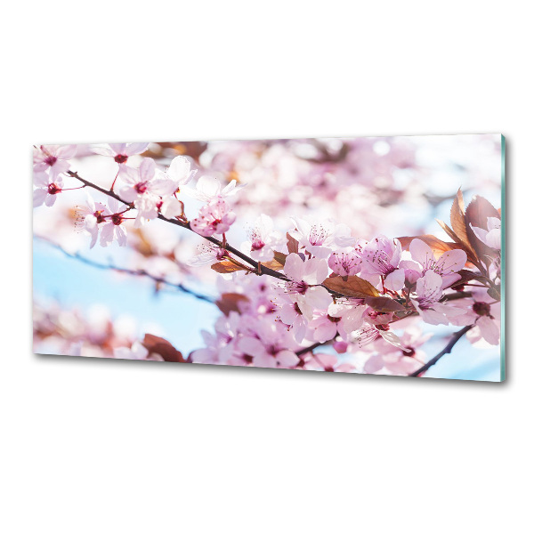 Dekorační panel sklo Květy višně
