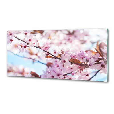 Dekorační panel sklo Květy višně