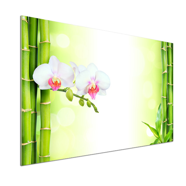 Panel do kuchyně Orchidej a bambus