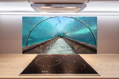 Panel do kuchyně Tunel akvárium