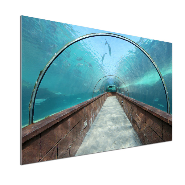 Panel do kuchyně Tunel akvárium