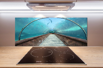 Panel do kuchyně Tunel akvárium
