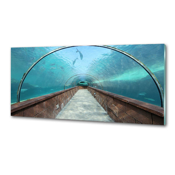 Panel do kuchyně Tunel akvárium