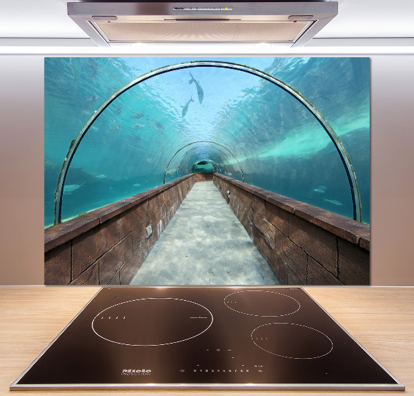 Panel do kuchyně Tunel akvárium