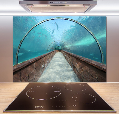 Panel do kuchyně Tunel akvárium