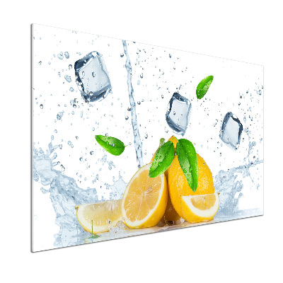 Panel do kuchyně Citrony s ledem