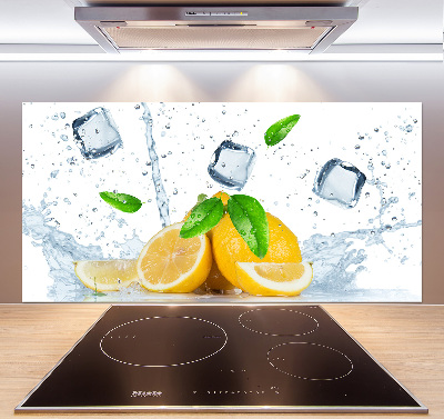 Panel do kuchyně Citrony s ledem