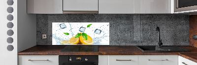 Panel do kuchyně Citrony s ledem