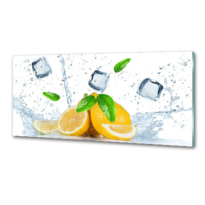 Panel do kuchyně Citrony s ledem