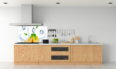 Panel do kuchyně Citrony s ledem