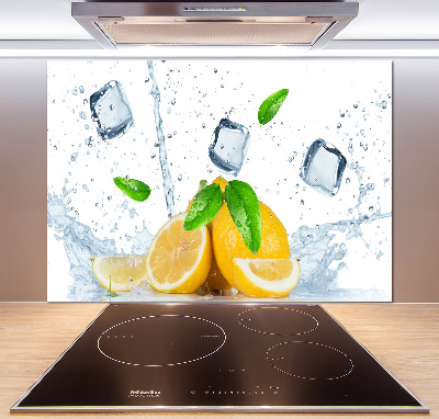 Panel do kuchyně Citrony s ledem