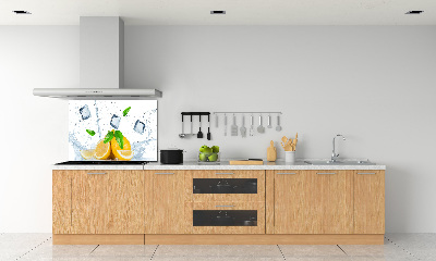 Panel do kuchyně Citrony s ledem